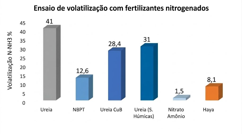 Galeria:
