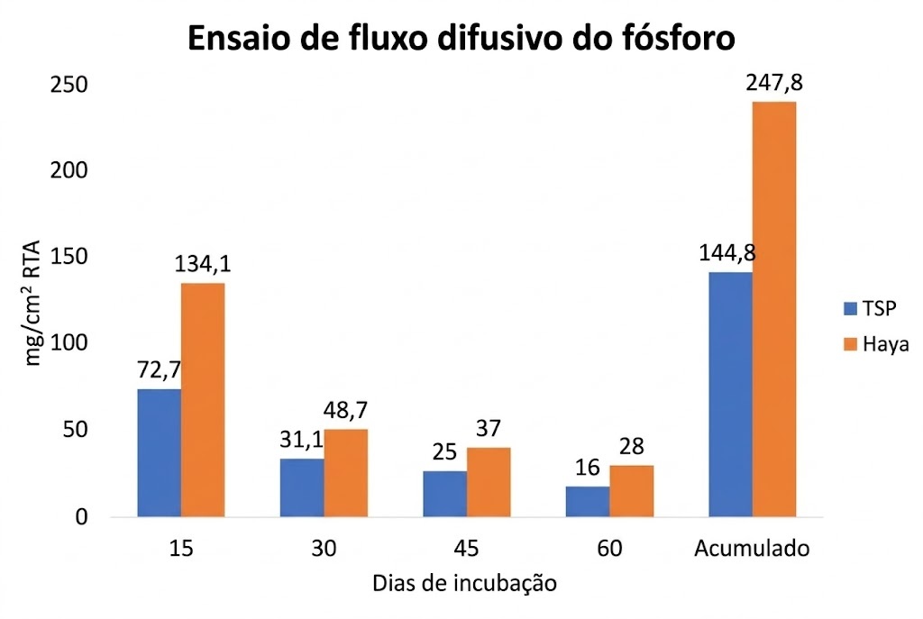 Galeria: