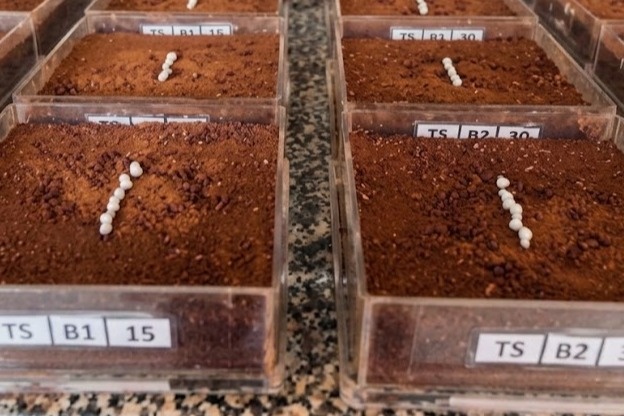 Aumento da eficiência dos nutrientes - trabalhos cientificos